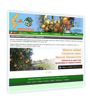 clementinasynaranjas.com